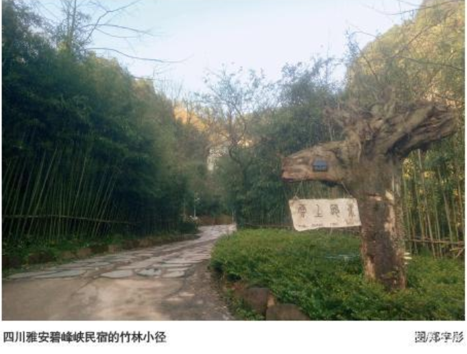 pp电子·模拟器(试玩游戏)官方网站